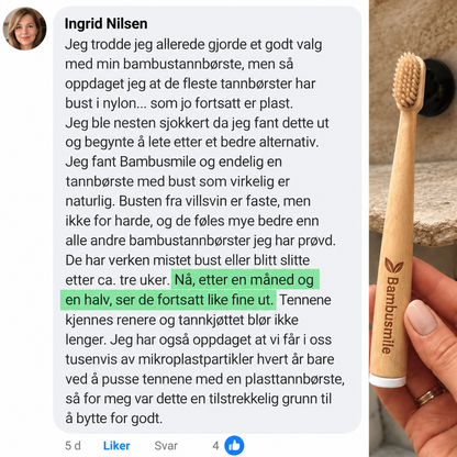 Bambusmile Naturlig Tannbørste (4-pakning)